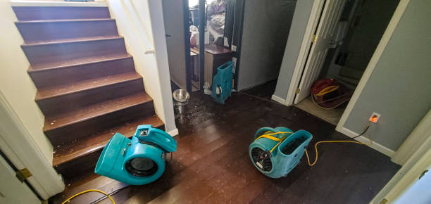 Best Professional water damage repair  in Augusta, KS