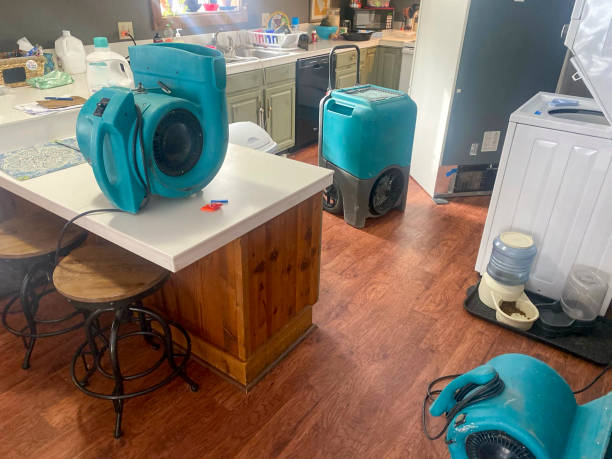 Best Local water damage restoration  in Augusta, KS