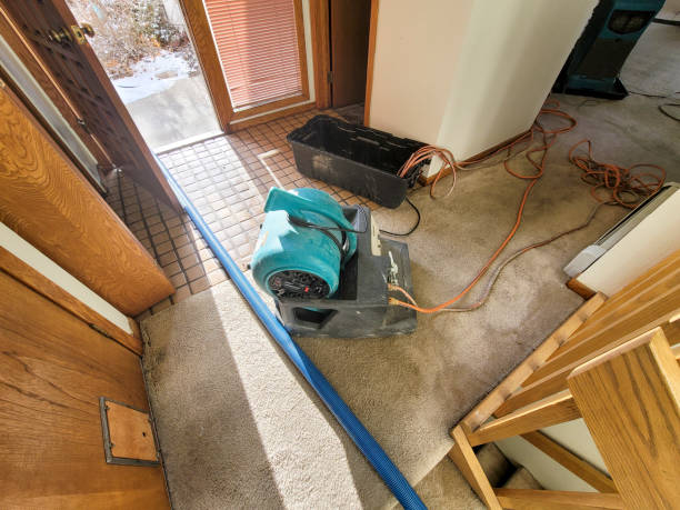 Best Fire Damage Restoration  in Augusta, KS