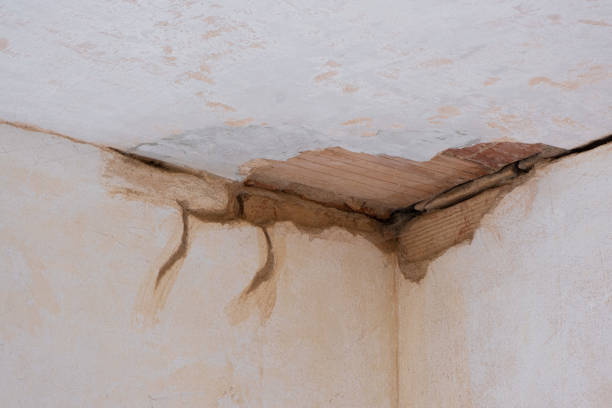 Best Water damage restoration mold remediation  in Augusta, KS