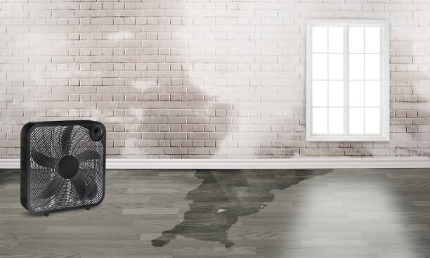 Best Water damage cleanup near me  in Augusta, KS