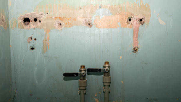 Best Carpet water damage restoration  in Augusta, KS