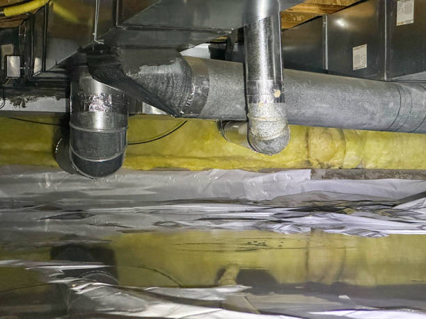 Best Mold removal after water damage  in Augusta, KS